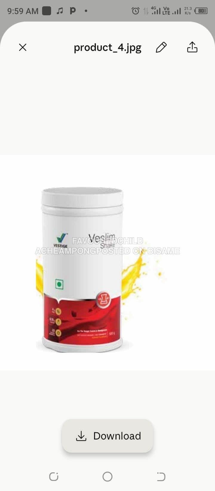 Vestige Veslim Shake