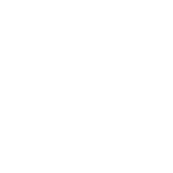 mission