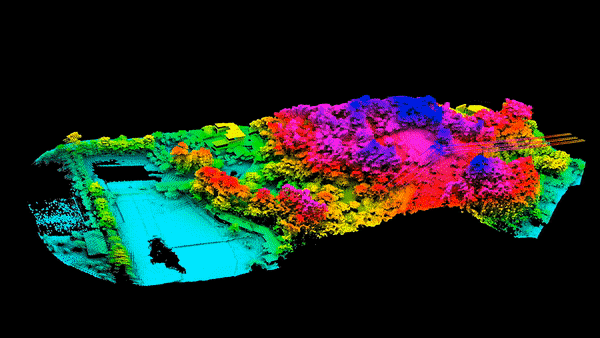 LIDAR penetración de vegetación