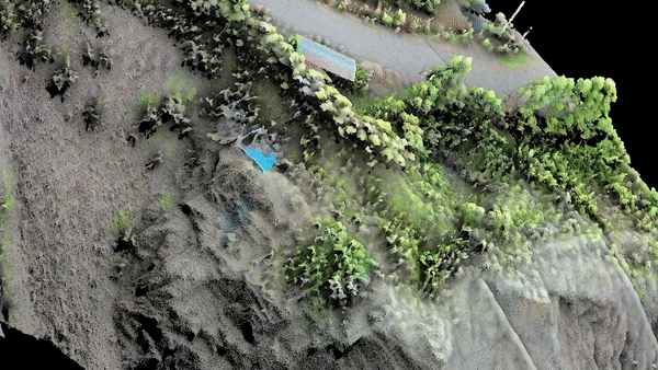 Nube de puntos en color real