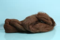 T18A4979 - Drak Brown Llama view 1