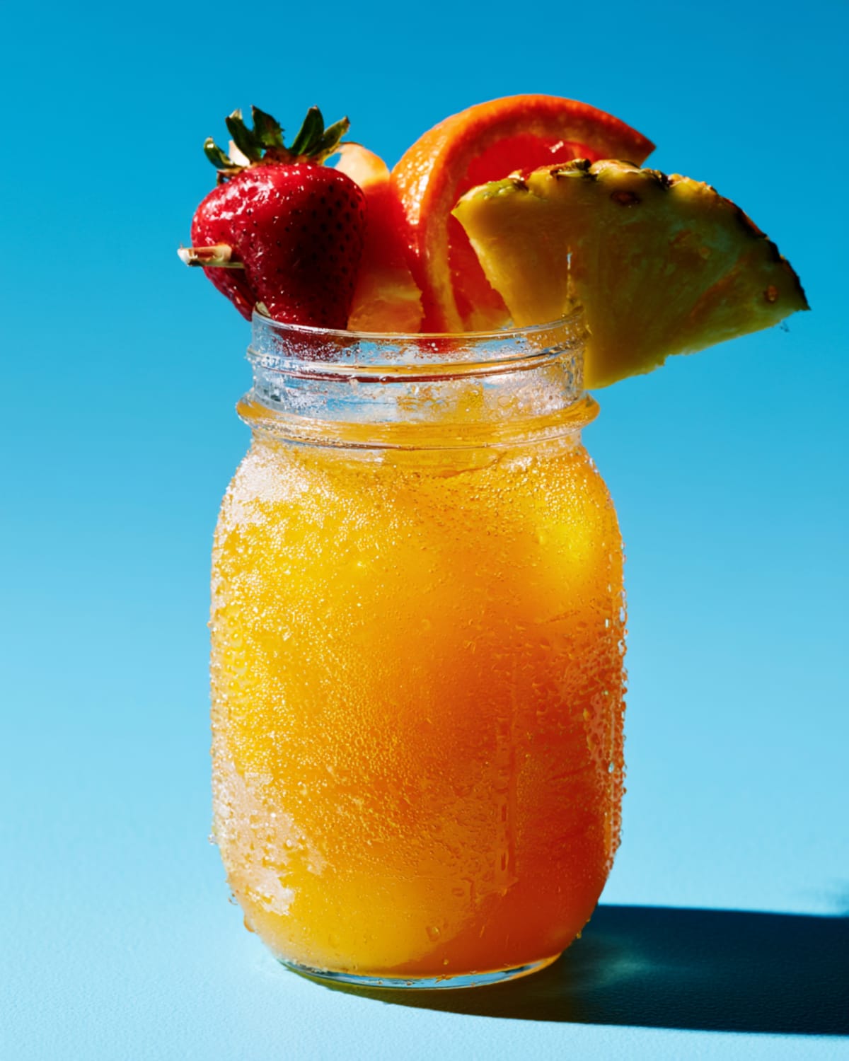 Jumbo Mimosa