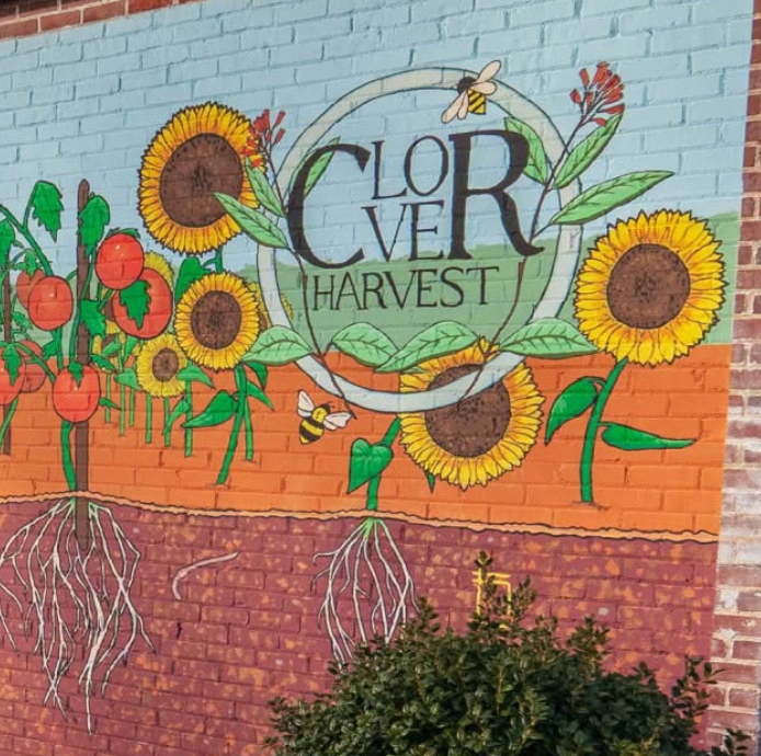 Clover Harvest