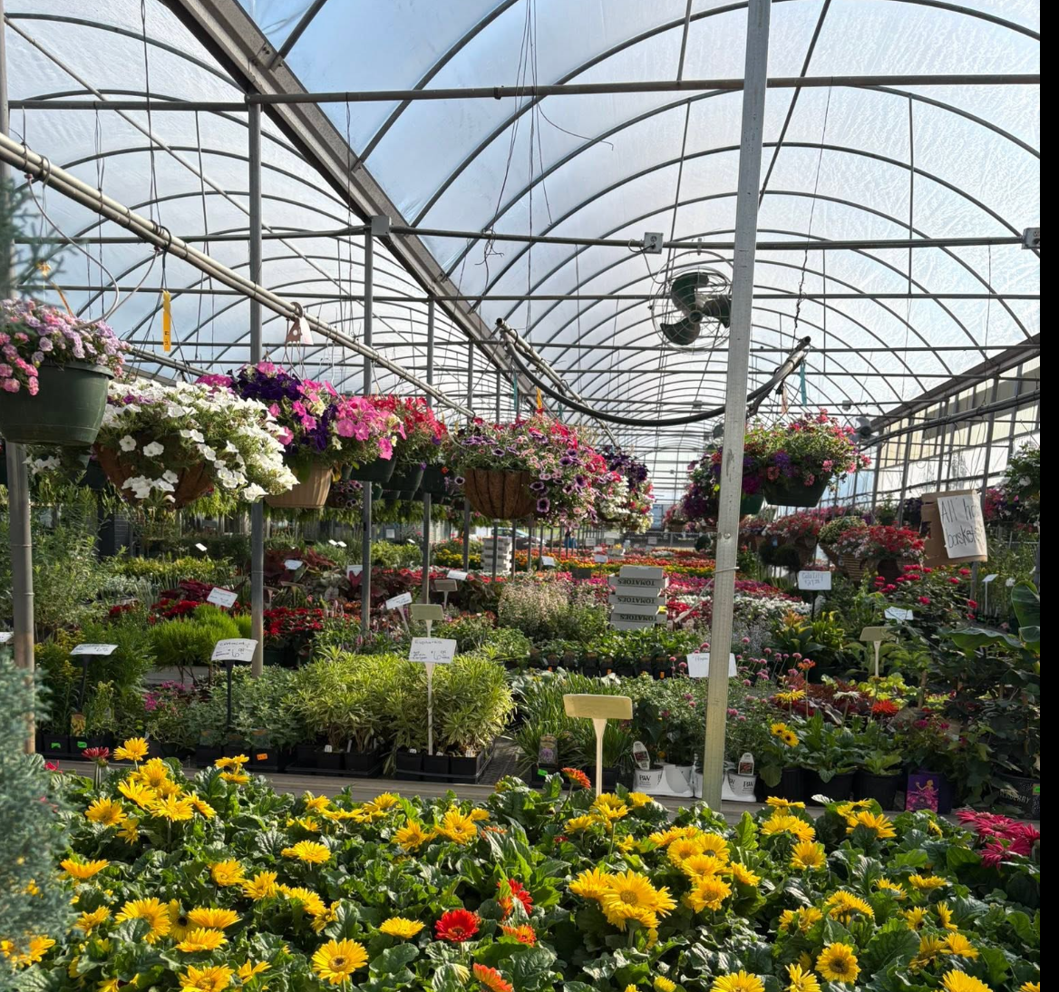 Wilson's Nursery & Garden Center