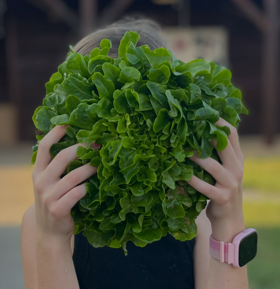 Bush-N-Vine