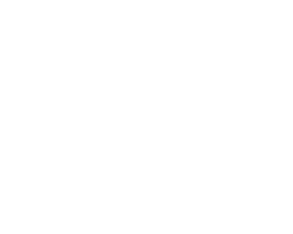 The Hall Bulldog Project Logos