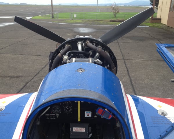 I Wish He Hadn't Done That