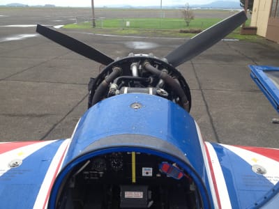 Russian Thunder Yak-54 photo 5