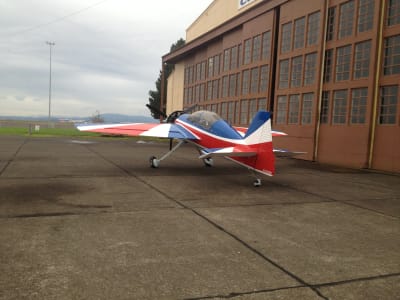 Russian Thunder Yak-54 photo 8