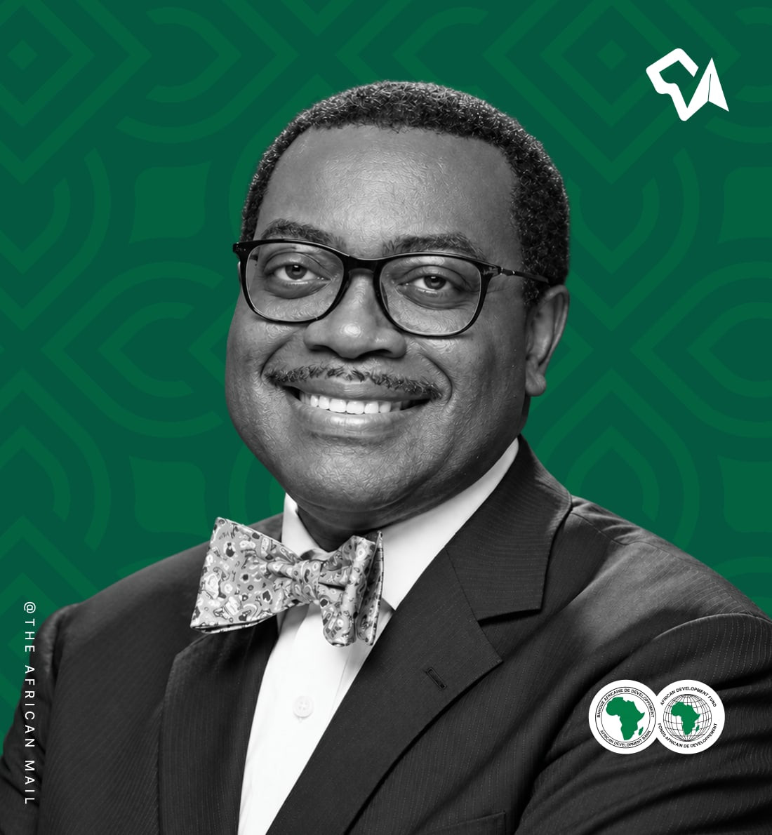 Rewriting the Rules of African Development Finance: the Bold Vision of Akinwumi Adesina