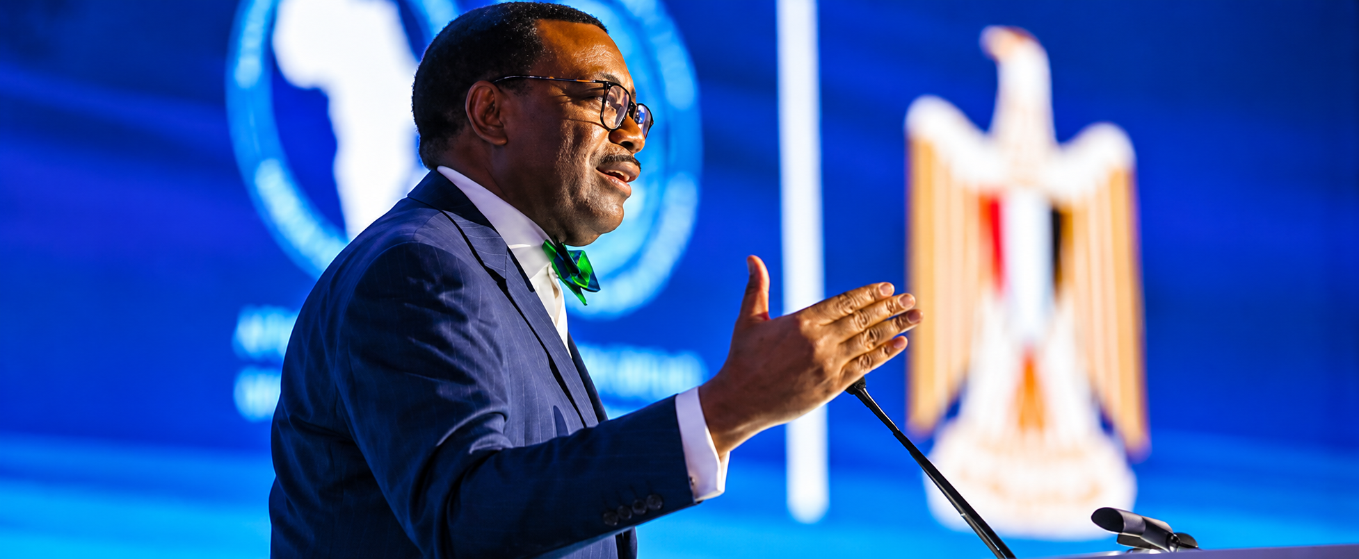 Adesina at the AU