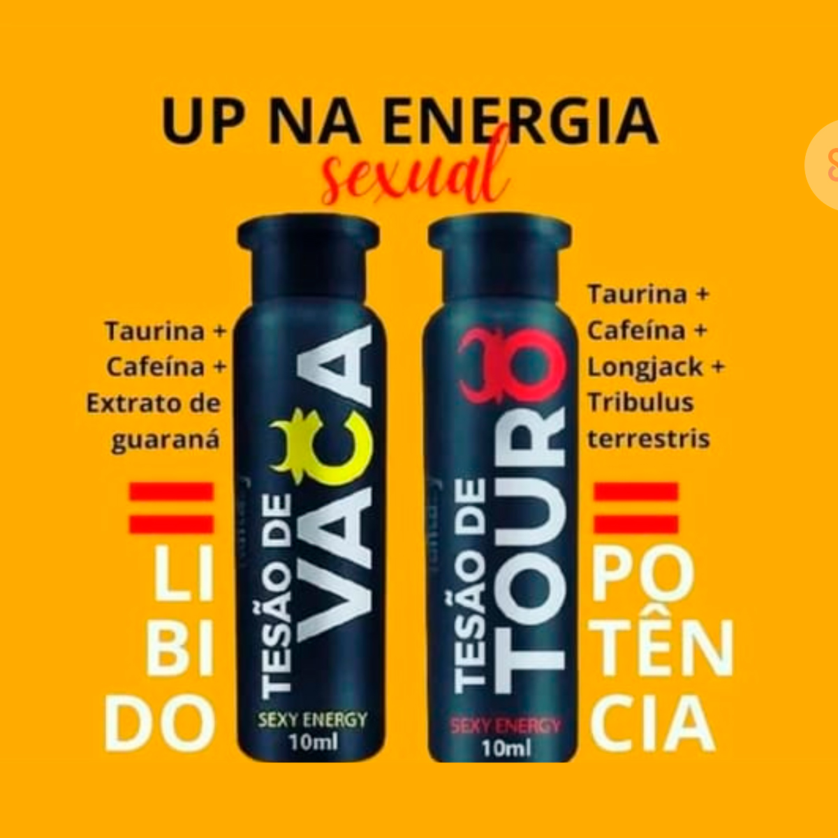 Bebidas afrodisíacas 