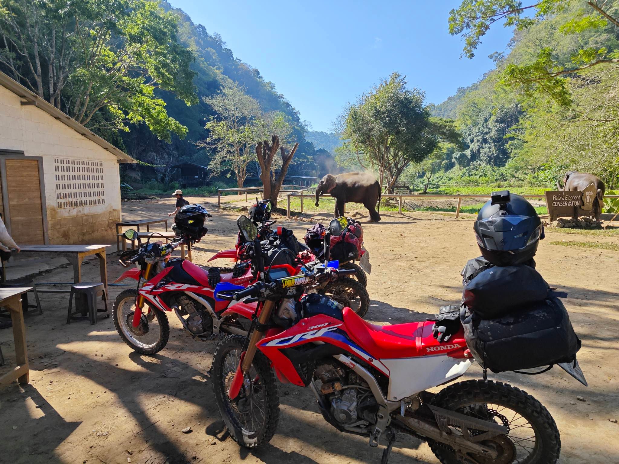 Elephants & Water crossings - Hang Dong, Chiang Mai