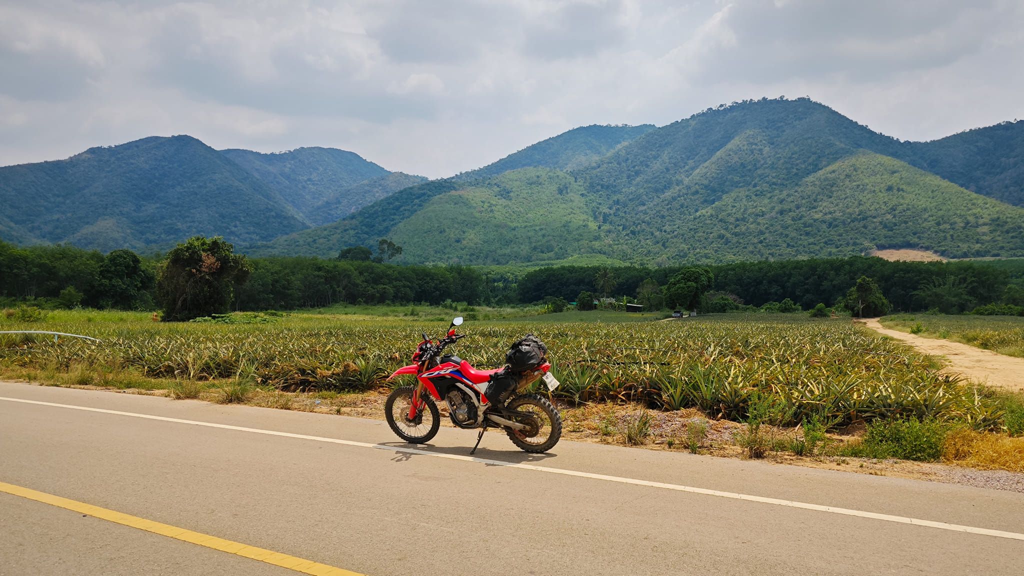 Bangkok to Hua Hin, the nature way!