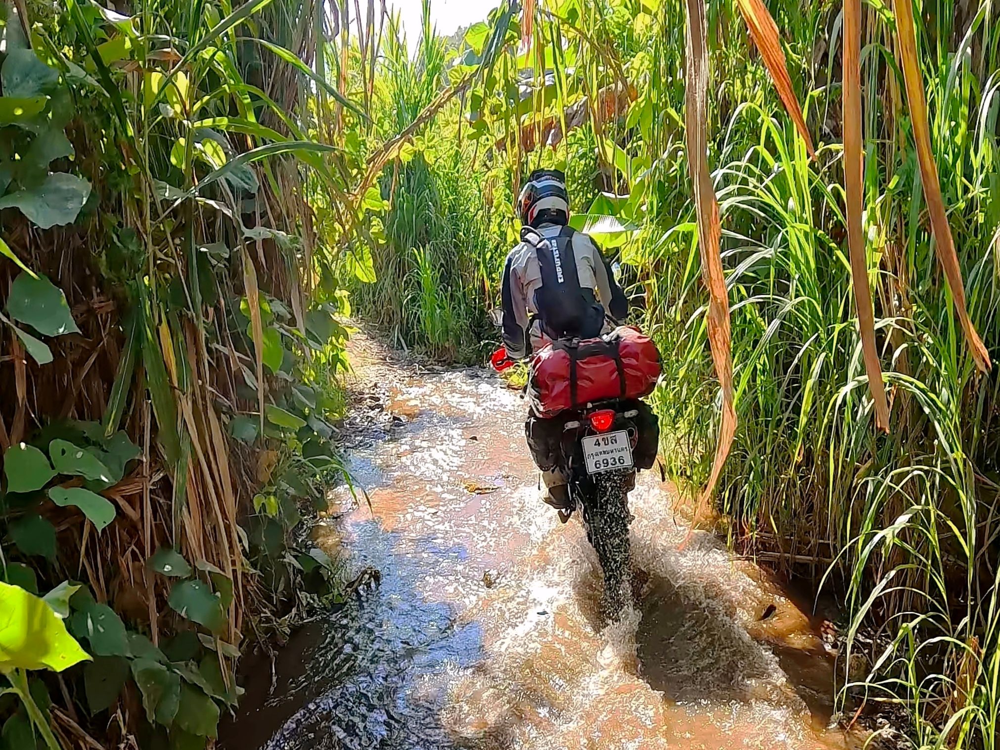Farmland and Riverbed shortcut to Doi Chang, Chiang Rai!