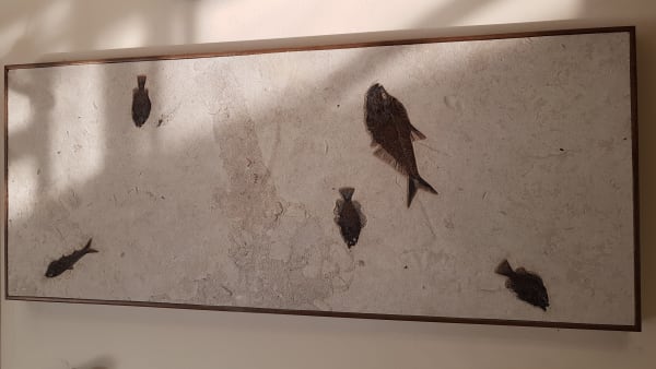 Dovoz exkluzivních materiálů 7