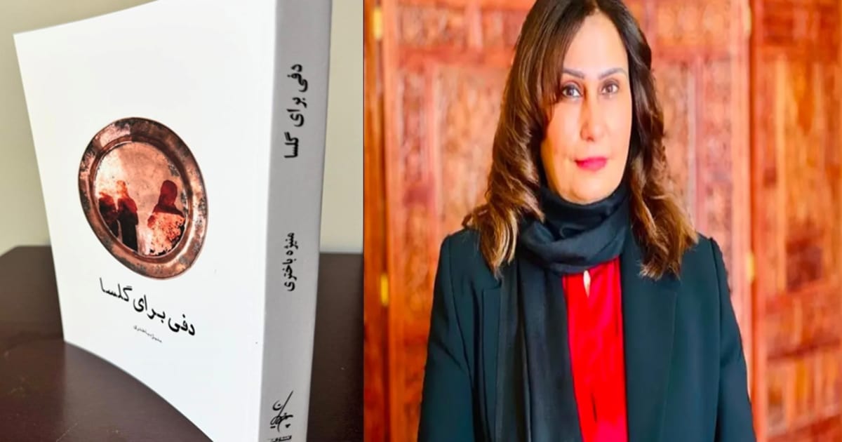 دفی برای گلسا؛ سومین رُمان منیژه باختری منتشر شد