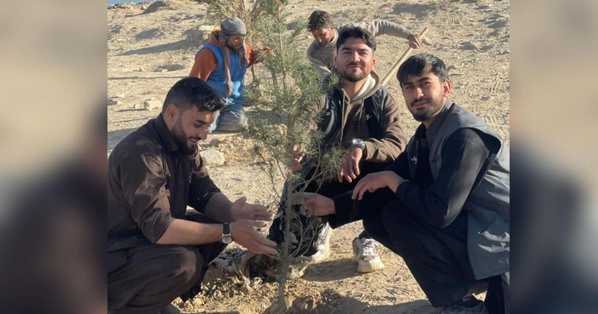 جوانان کابل با کارزار با شعار «هر نهال، یک امید» نهال می‌کارند