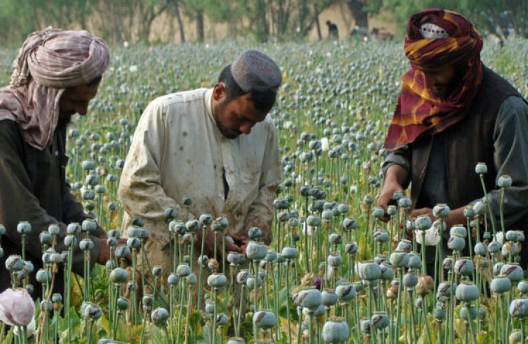 بازداشت بیش از ۱۲ هزار نفر مرتبط با مواد مخدر در سال ۲۰۲۵