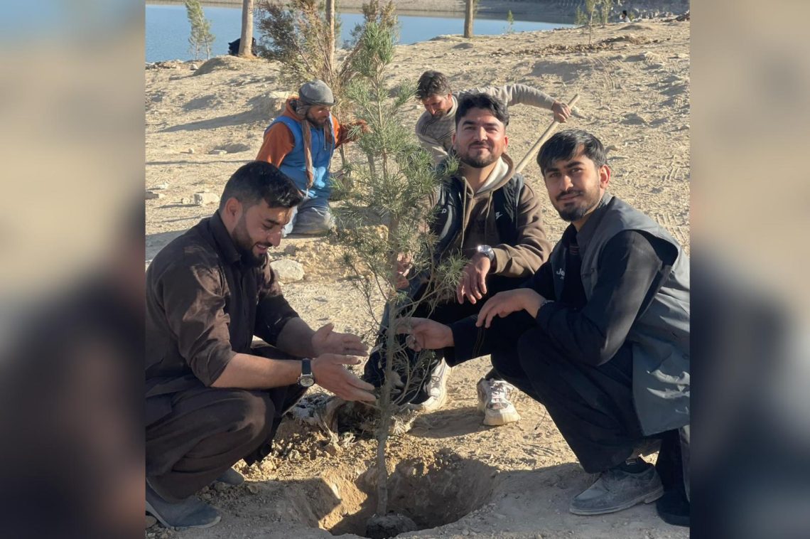 جوانان کابل با کارزار با شعار «هر نهال، یک امید» نهال می‌کارند