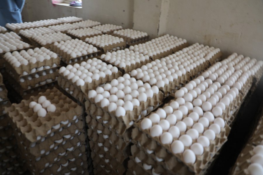 صادرات تخم‌مرغ ایران به افغانستان افزایش یافته است