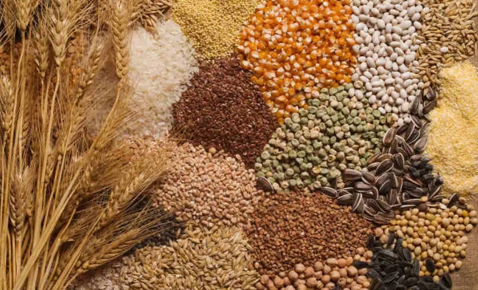 صادرات محصولات ایران به افغانستان متوقف شد