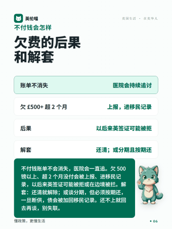 英伦喵图解 · 不付钱后果