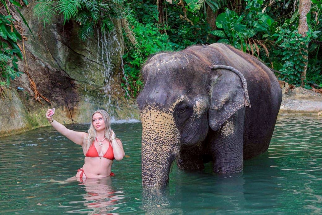 Chalong Elephant Retirement — Phuket