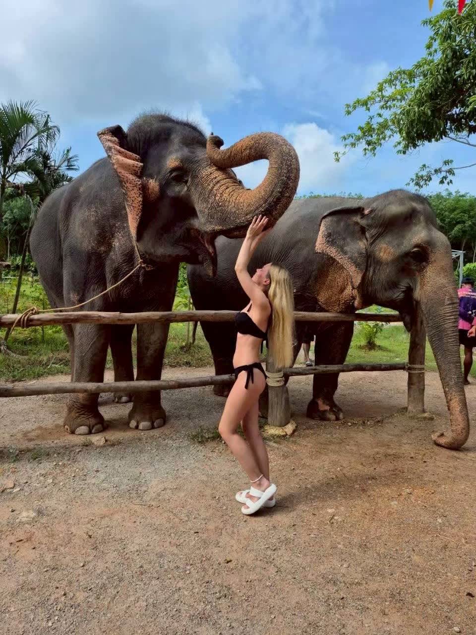 Amazing Karen Avatar