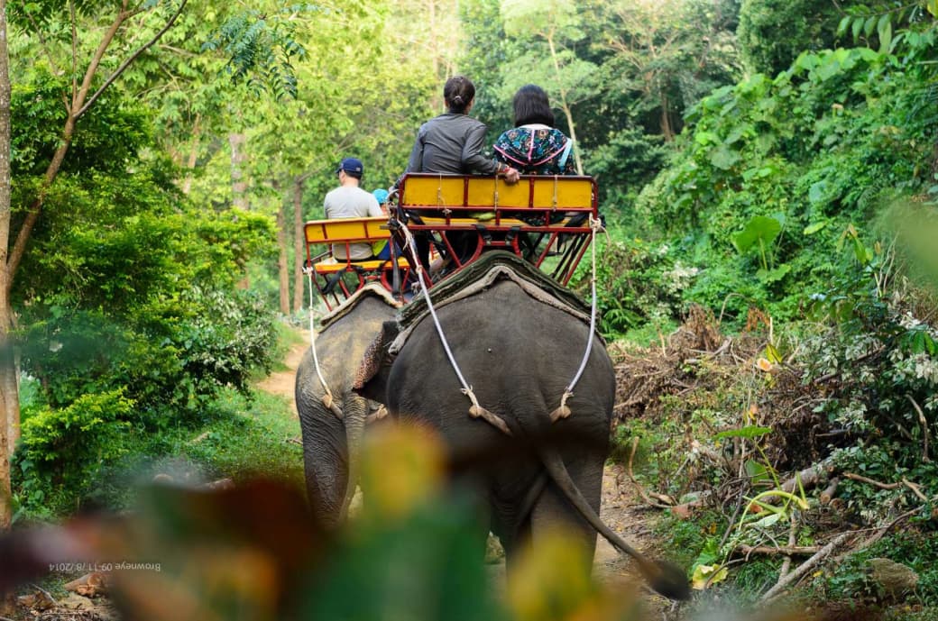 Khaolak Safari Full Day
