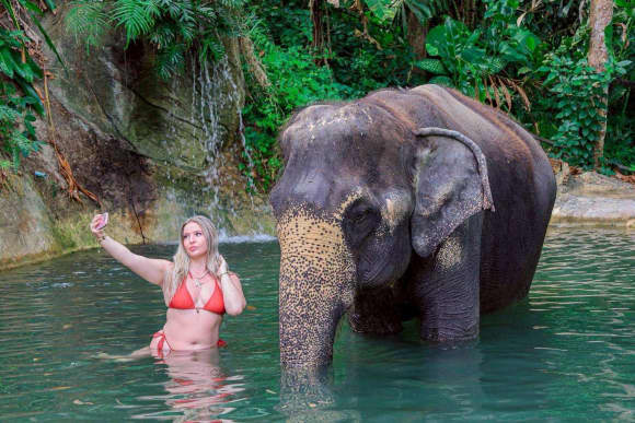 Chalong Elephant Retirement — Phuket