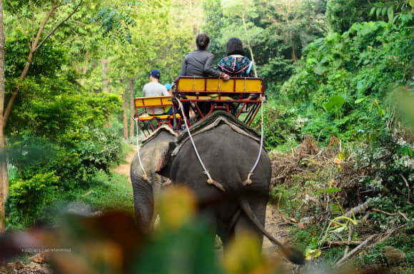 Khaolak Safari Full Day