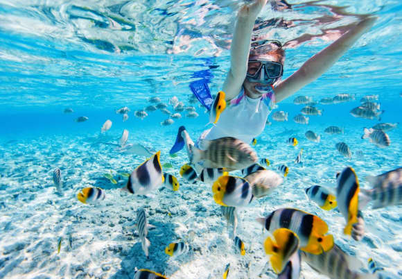 Racha Island + Coral Island — Full Day Catamaran