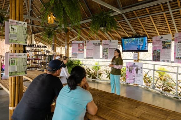 Elephant Conservation Phuket — Gentle Giants