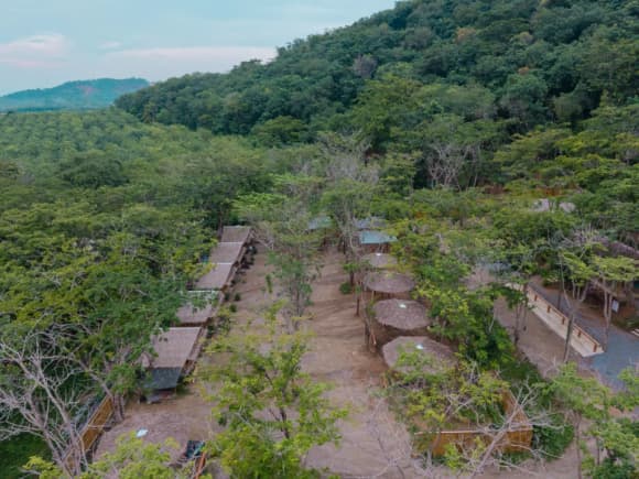 Elephant Conservation Phuket — Gentle Giants