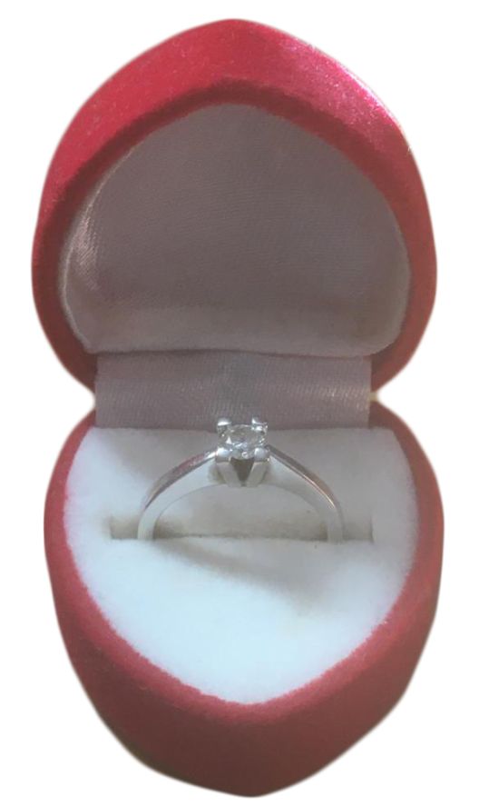 1731666165674-asbijoux-inel-de-logodna