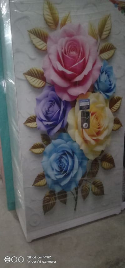 Printed 2 door almirah 38inch