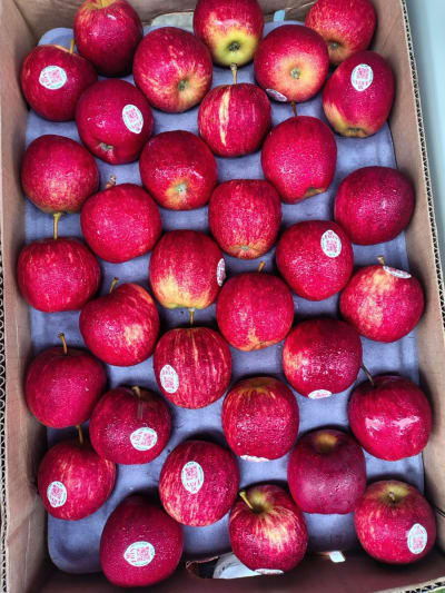 Apple 500g