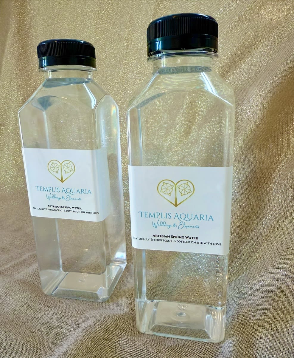 Temple Water - Natural Artesian Spring