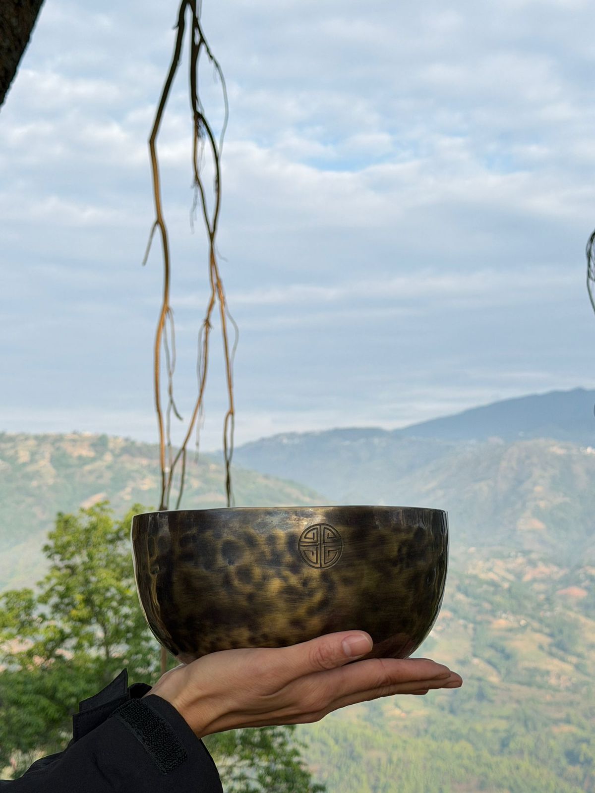 Healing In Nature