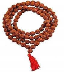 Rudrakshya