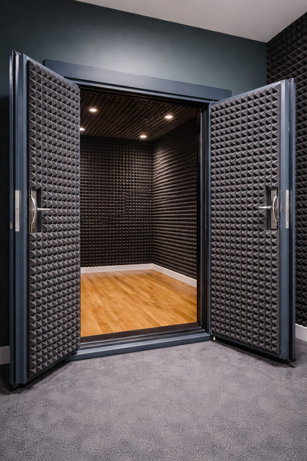 Acoustic Doors gallery 3