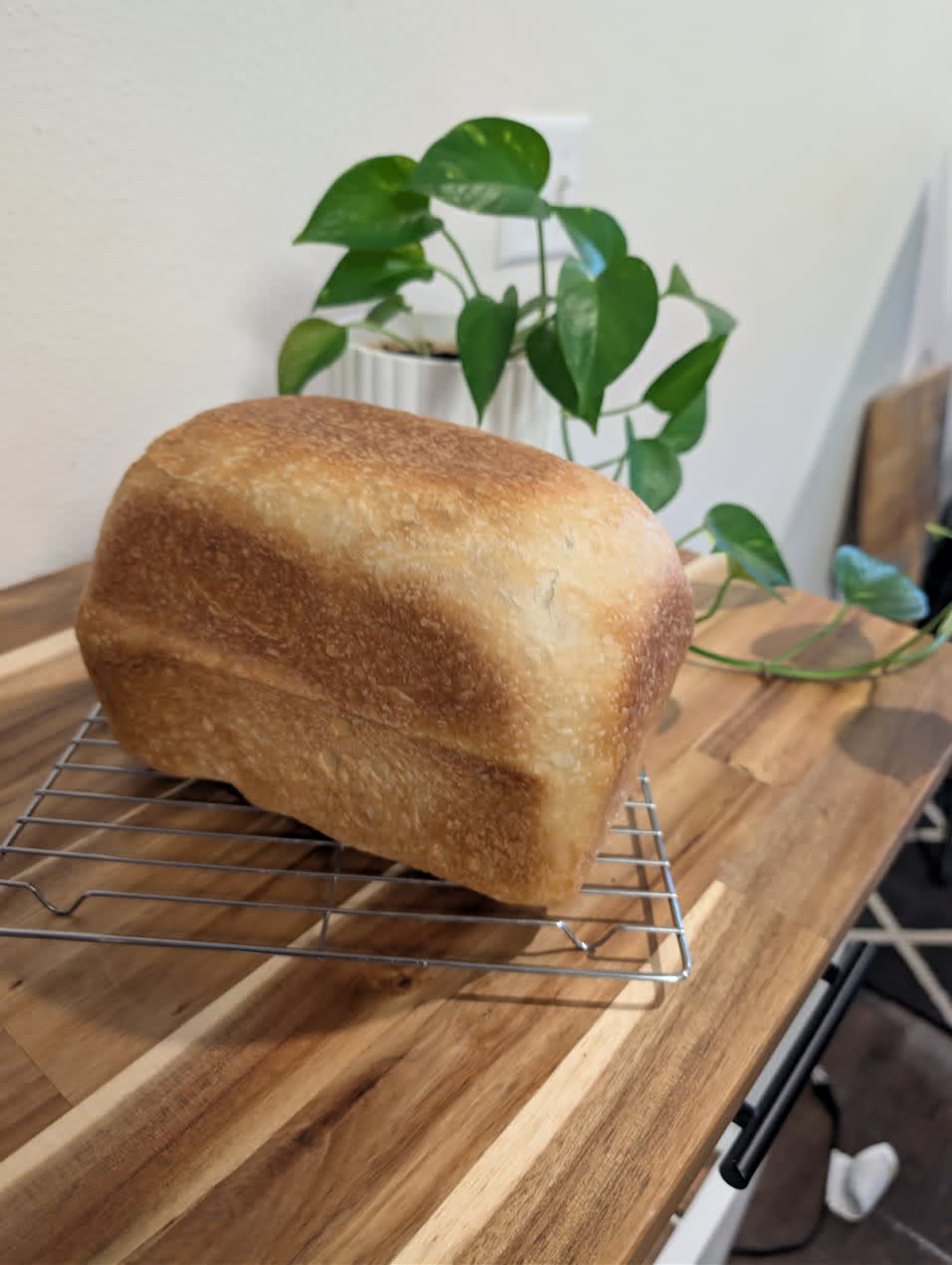 Soft sourdough sandwich bread product photo