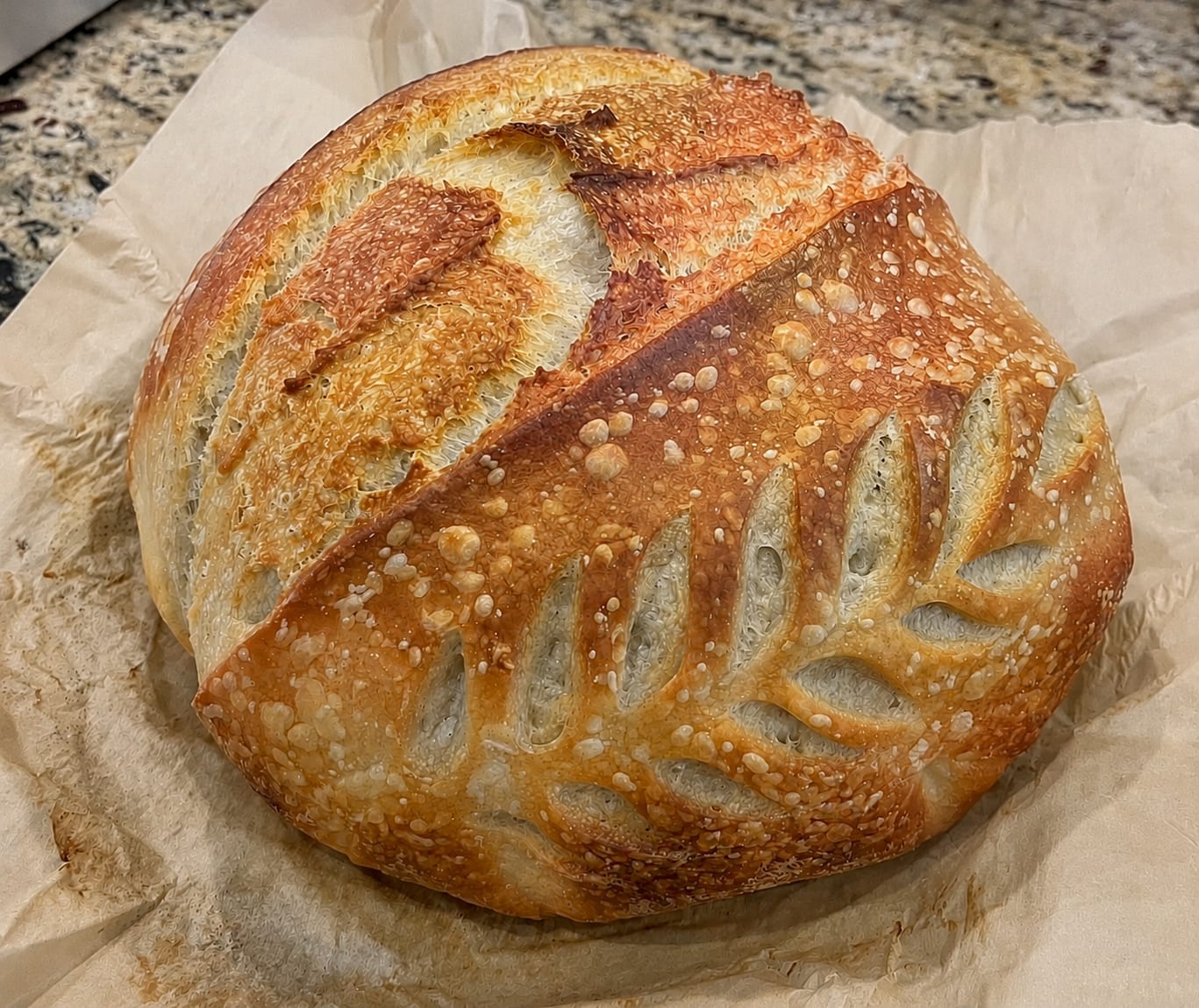 Regular Sourdough product photo