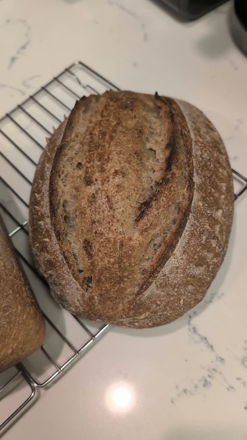 Sourdoug large  Loaf product photo