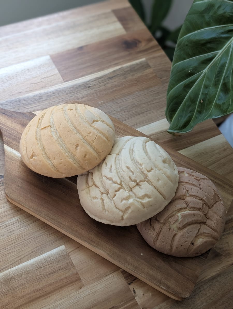 Conchas product photo