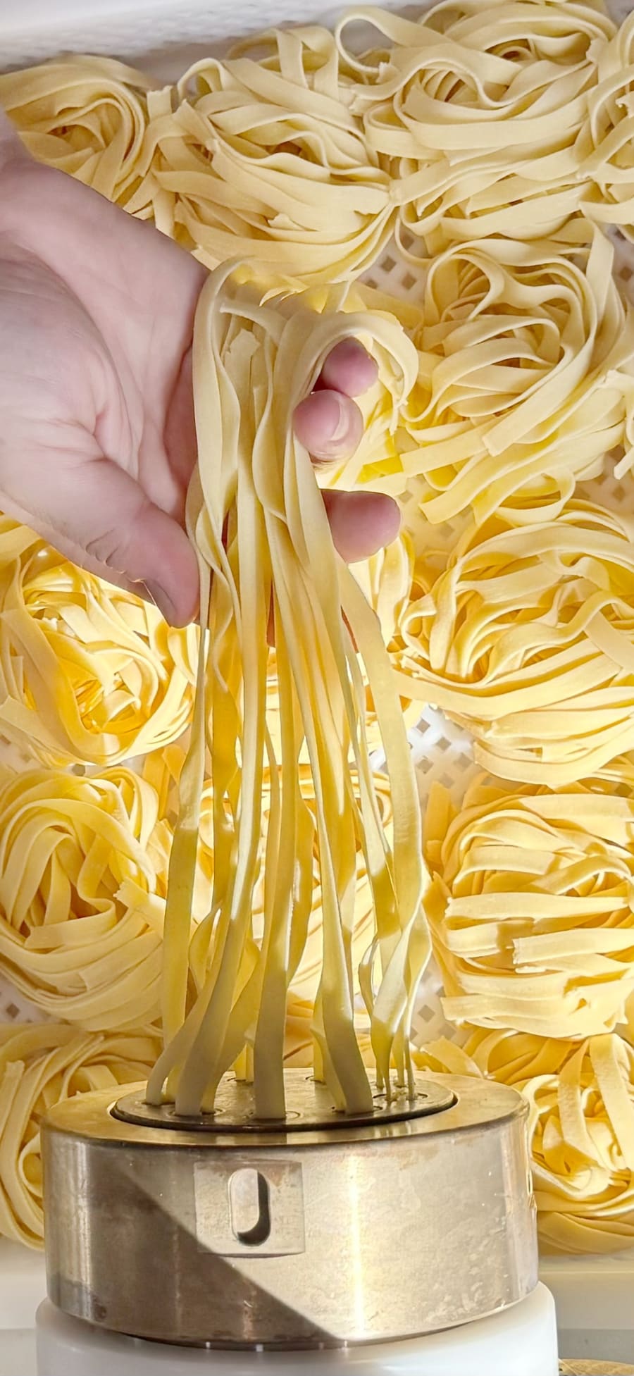 Fettuccine Pasta product photo