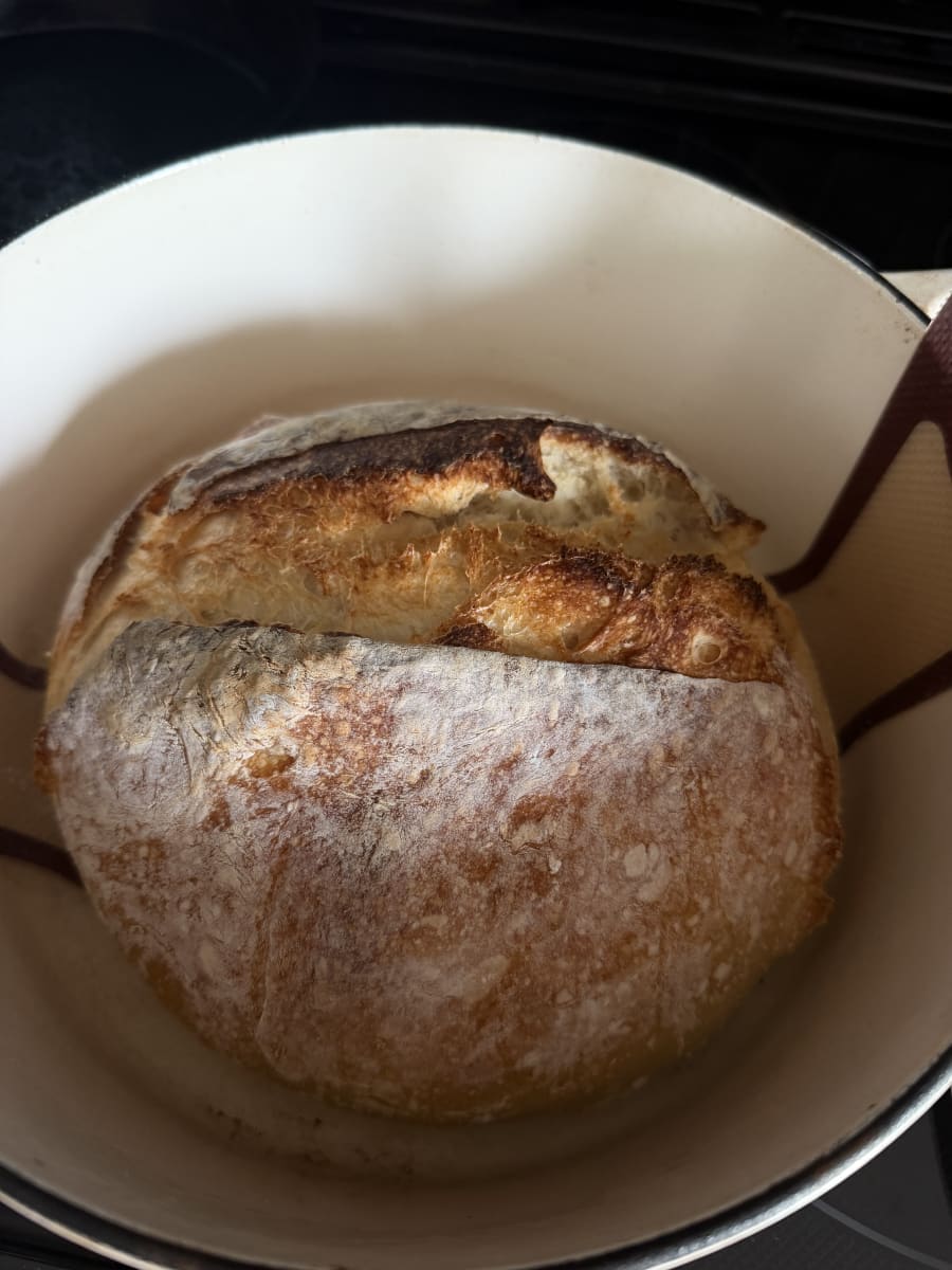 Sourdough Loaf product photo