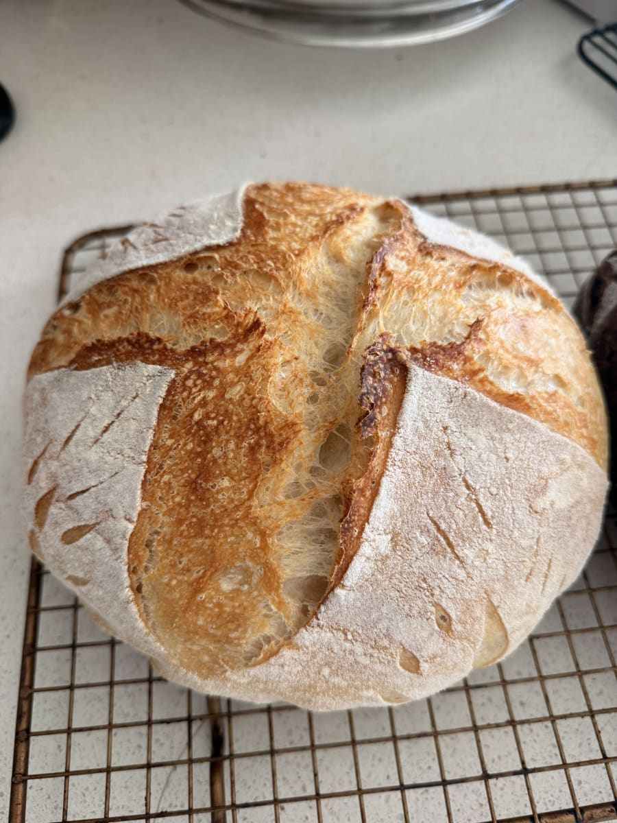 Traditional Sourdough Boule product photo