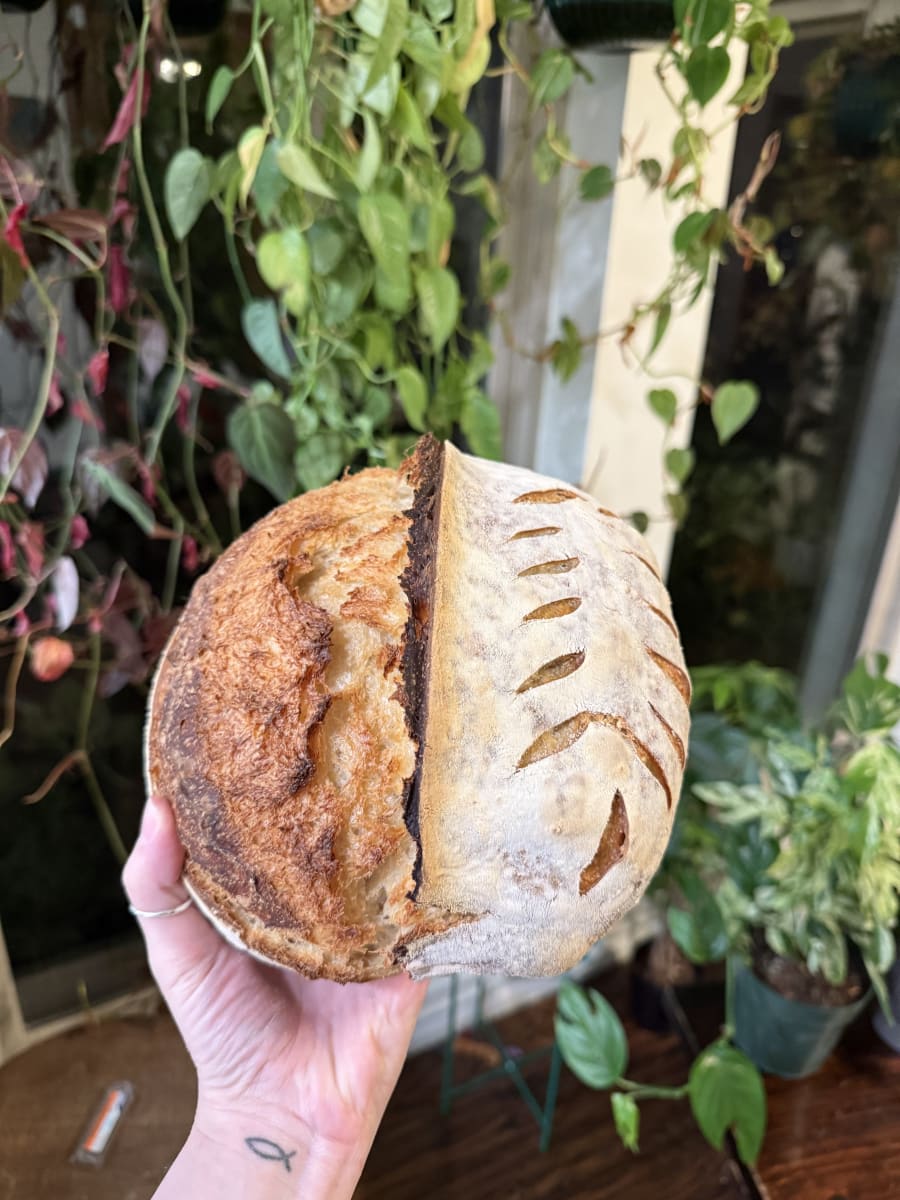 Original Sourdough Loaf product photo